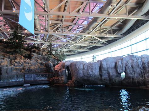 Shedd aquarium south dusable lake shore drive chicago il - 1200 S DuSable Lake Shore Drive, Chicago, IL 60605. Driving Directions. From Lake Shore Drive, exit at 18th Street. Follow Museum Campus Drive around Soldier Field. …
